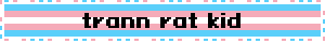 Blinkie with the trans flag and text reading "trann rat kid"