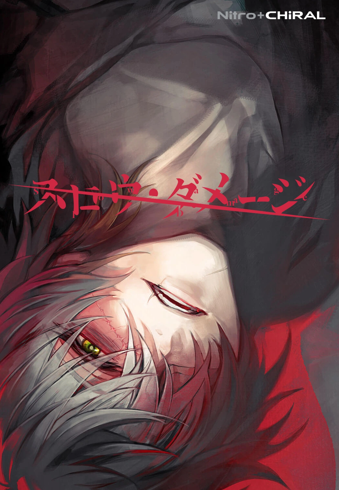 Game cover of "Slow Damage"