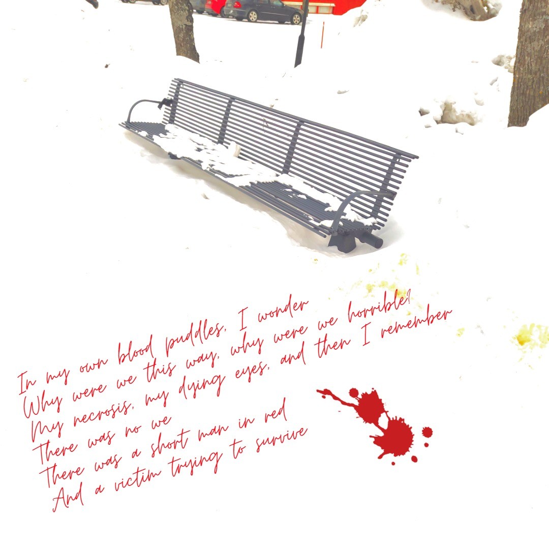 A bench covered in snow and a doodle of blood

A poem reads:

"In my own blood puddles, I wonder
Why were we this way, why were we horrible
My necrosis, my dying eyes, and then I remember
There was no we
There was a short man in red
And a victim trying to survive"