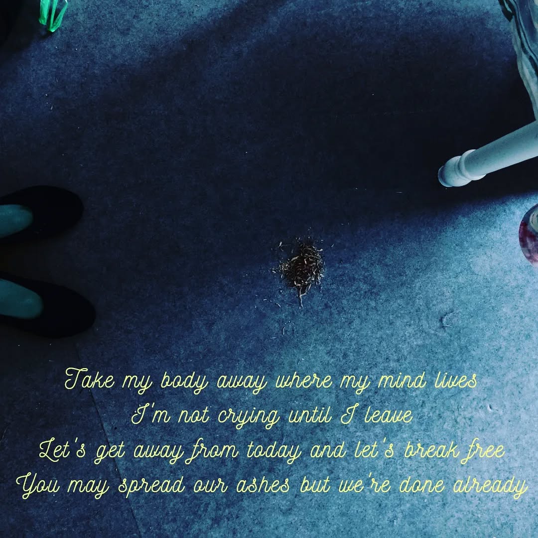 In a cold, blue room, some little pieces of straw are gathered in the middle, like ashes. The picture shows a very dark side with a lot of shadows where all you can make out is the shape of two feet, whereas the other side has light, but the light is cold.

At the bottom of the photo is written a small poem in pastel yellow.

"Take my body away where my mind lives
I'm not crying until I leave
Let's get away from today and let's break free
You may spread our ashes but we're done already"